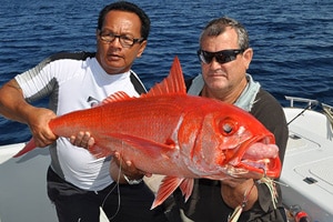 bali fishing